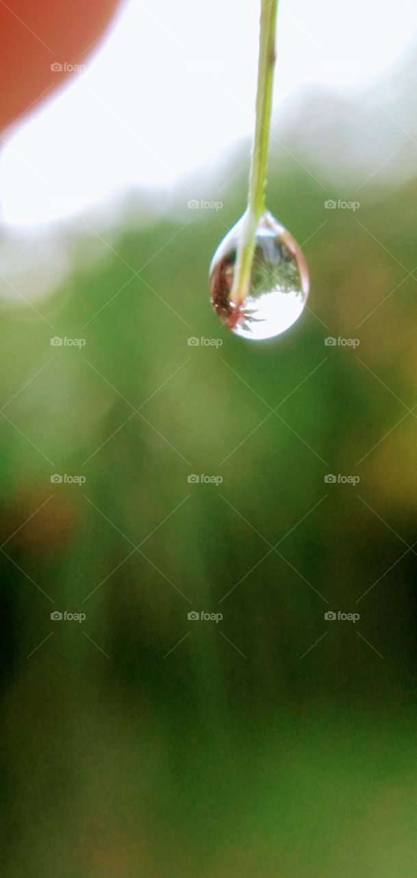 water Drop