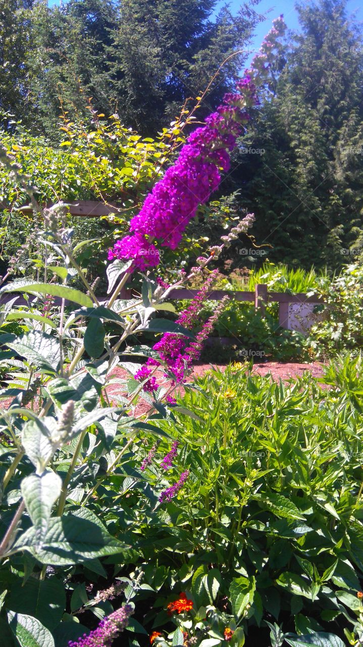 Vibrant colors at Burnaby Park, Coquitlam, BC