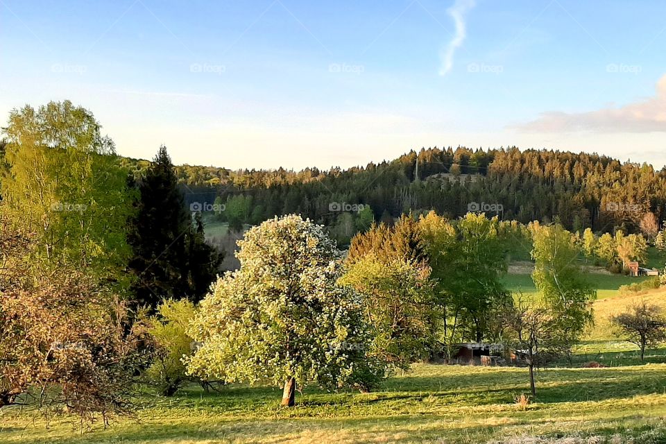 Albstadt im Frühling