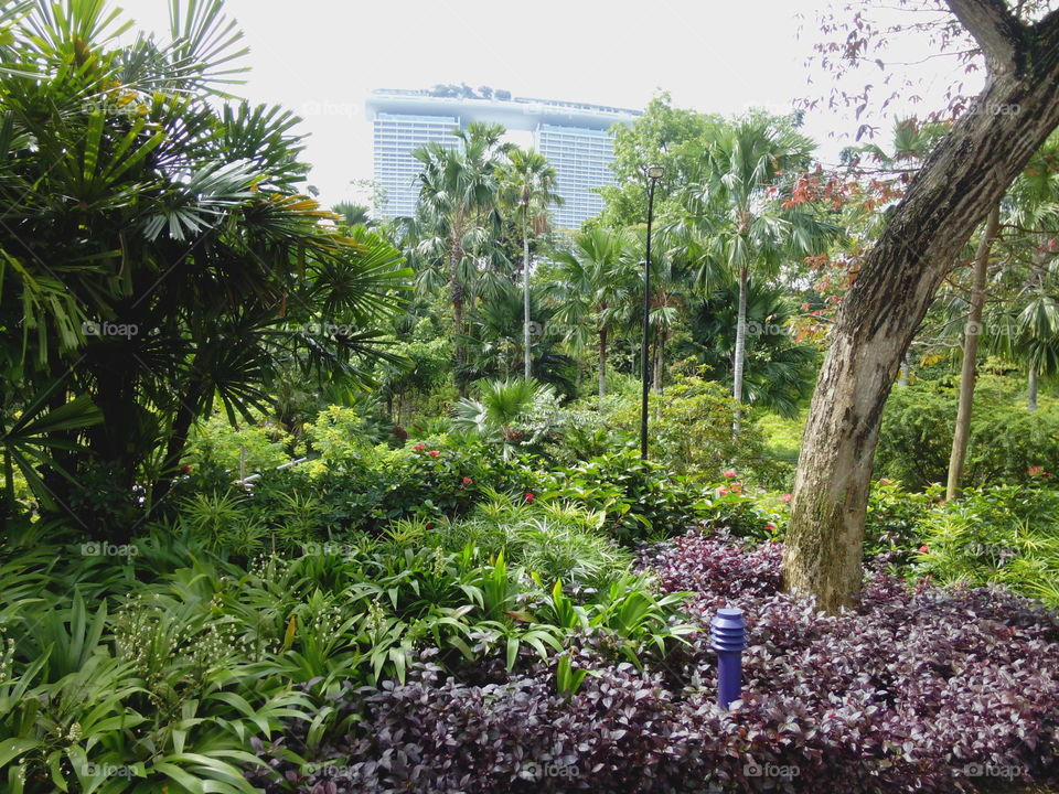 garden bay Singapore