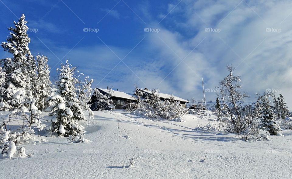 Cottage in Tempelseter, Norway
