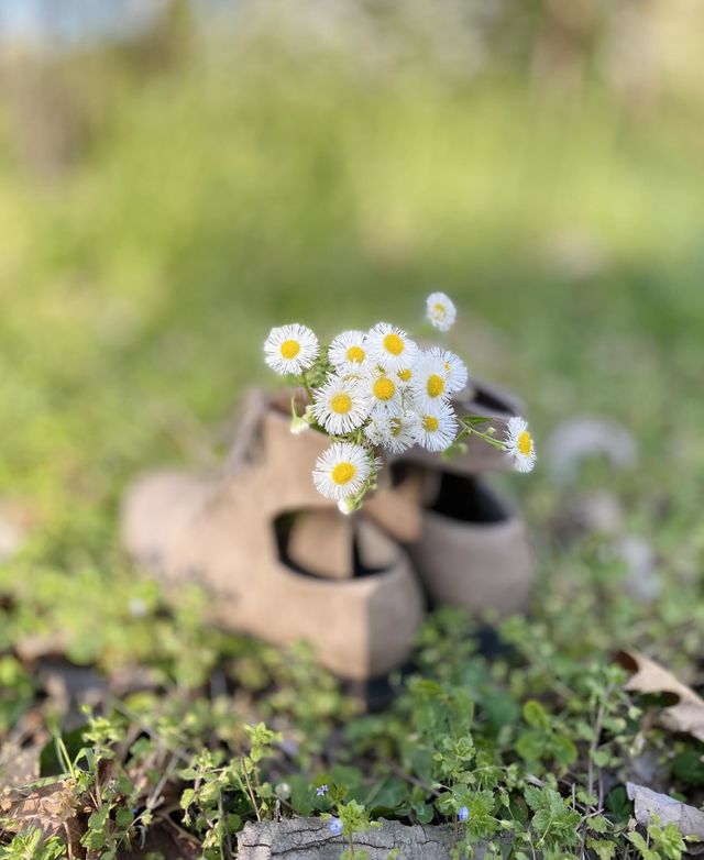 Lovely!