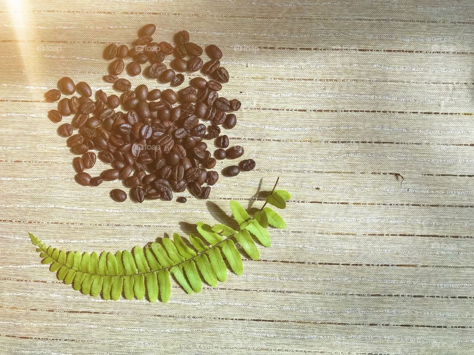 Coffee bean on wooden table 