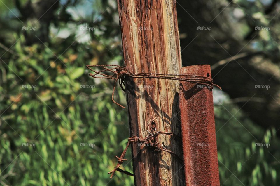 rusty fence post