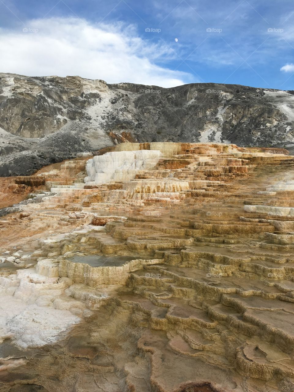 Travertine terraces of Mammoth hot springs, Yellowstone National Park, USA