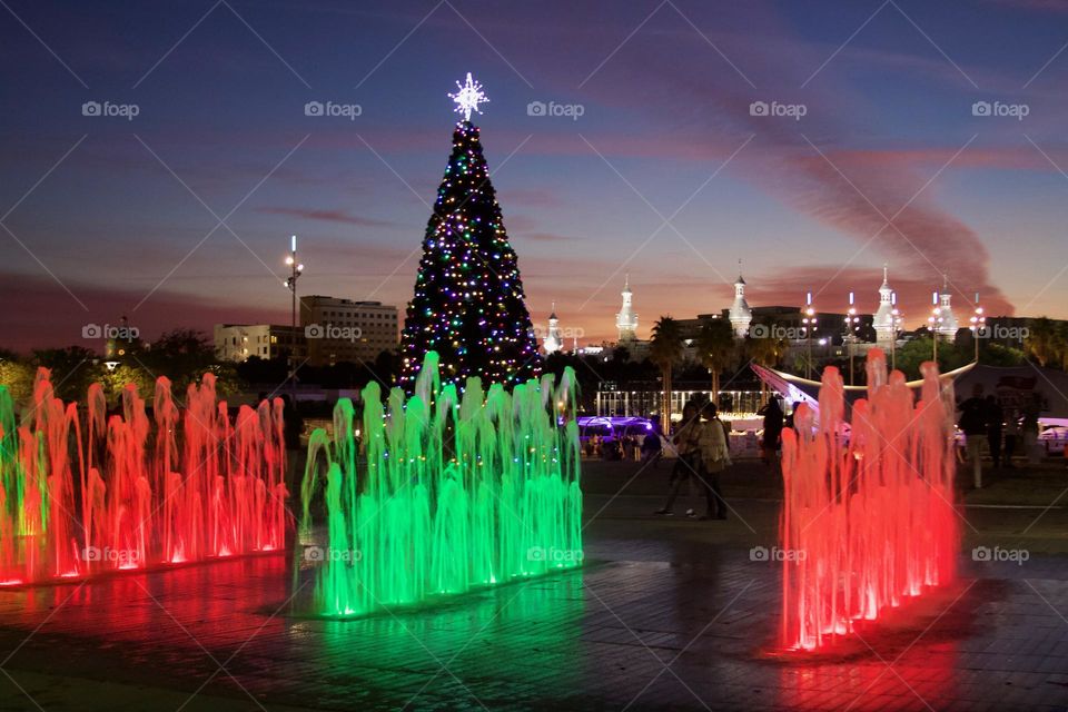 Curtis Hixon Park Holiday Lights