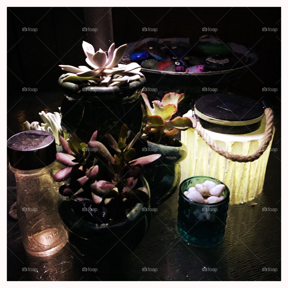 Solar lights and succulents on patio table