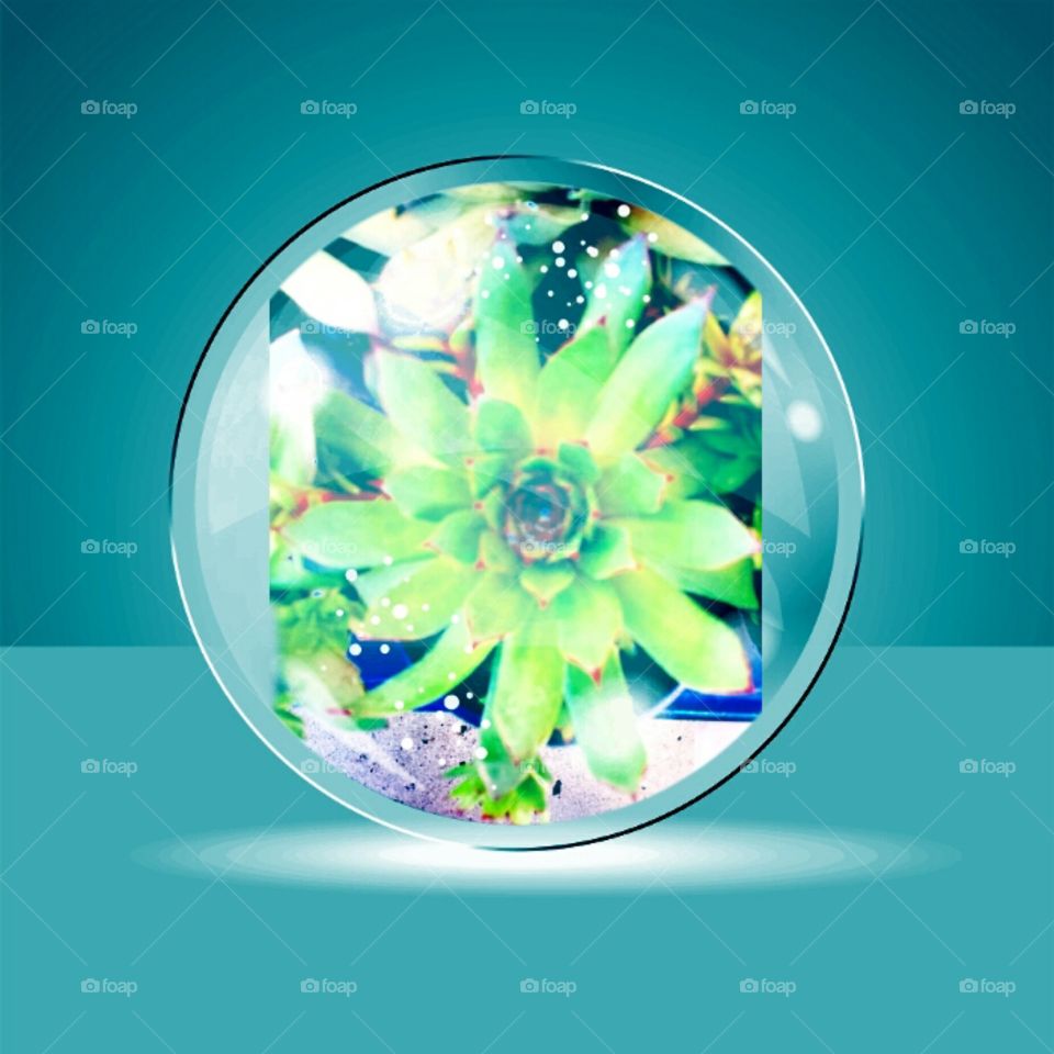 Inside a Glass Globe