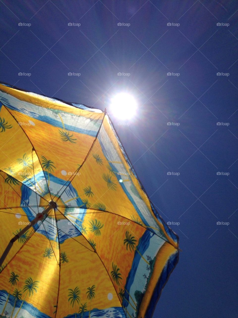 sun