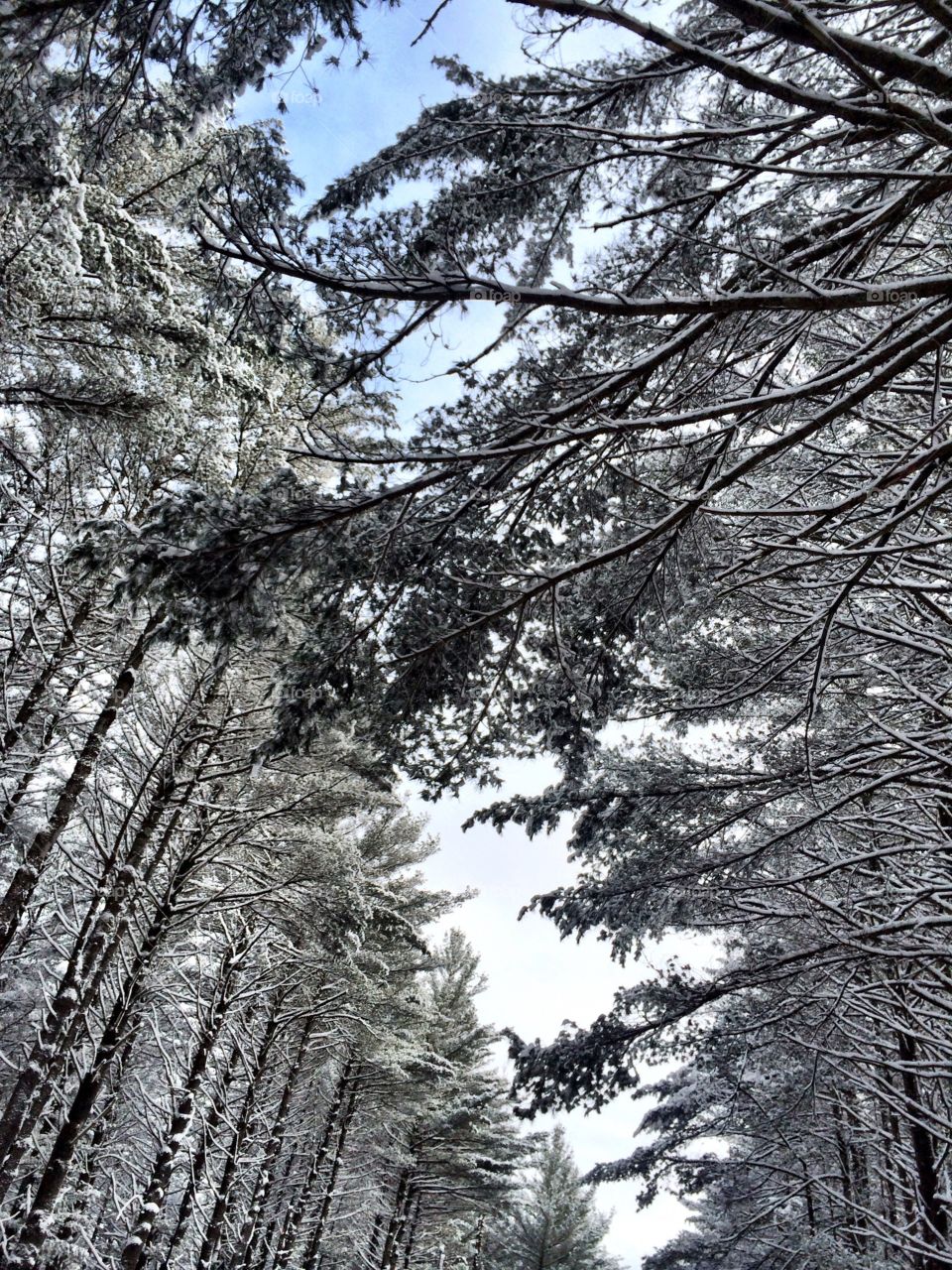 Winter in the  Adirondack mountains 