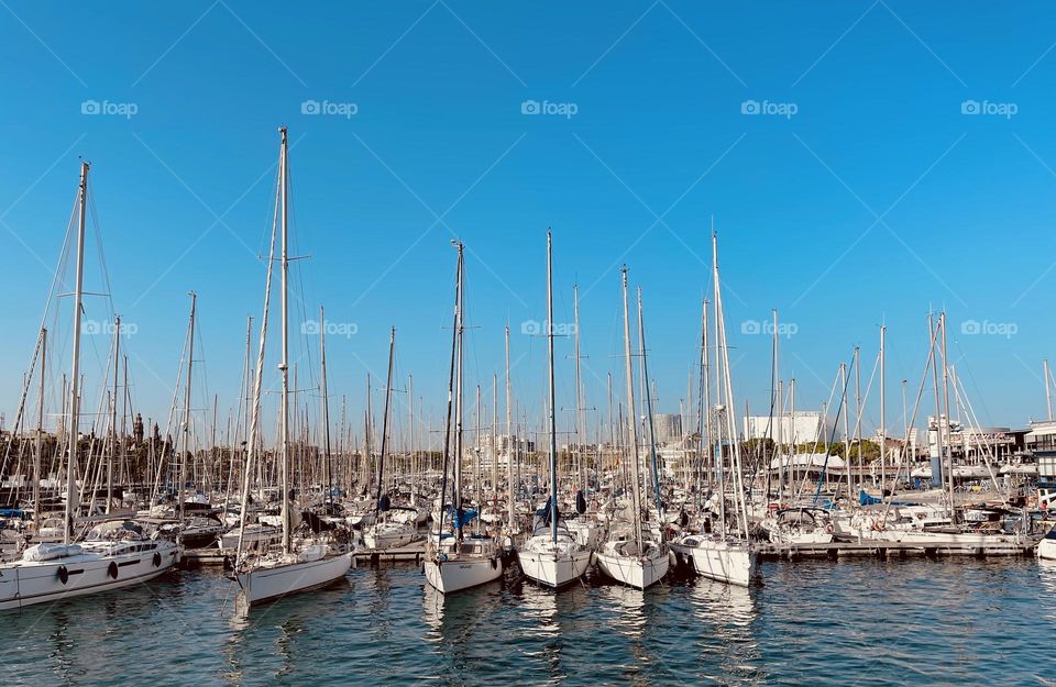 Sailboats