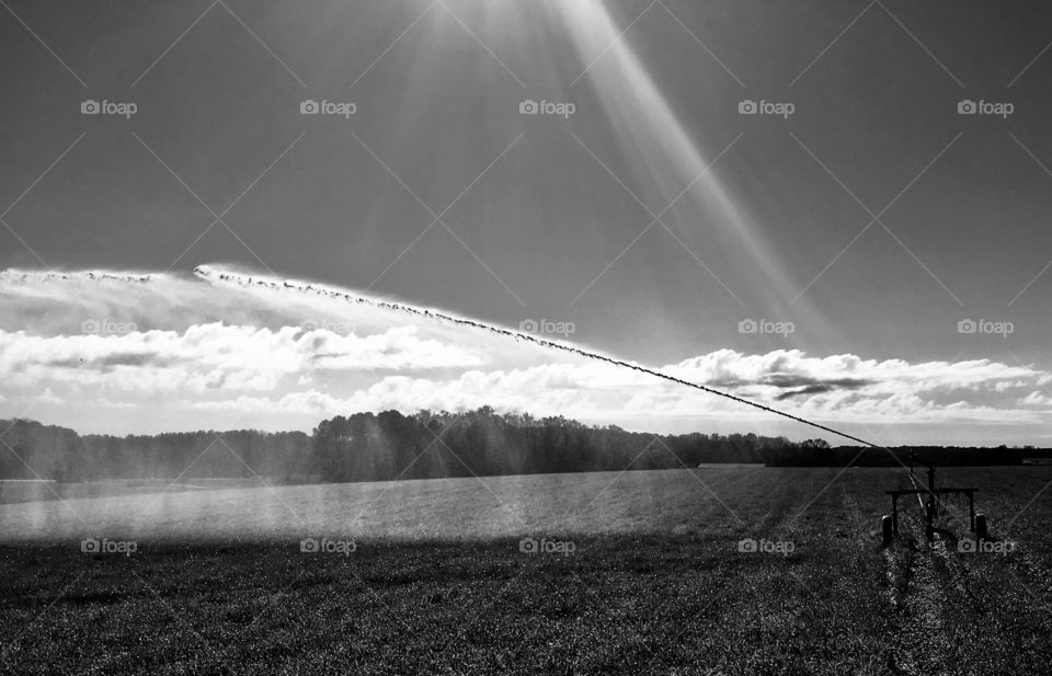 Big gun irrigation on the farm