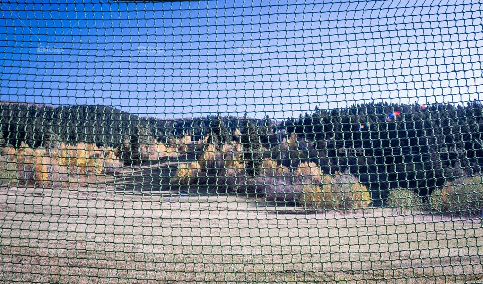 Strange view of land scape behind a net