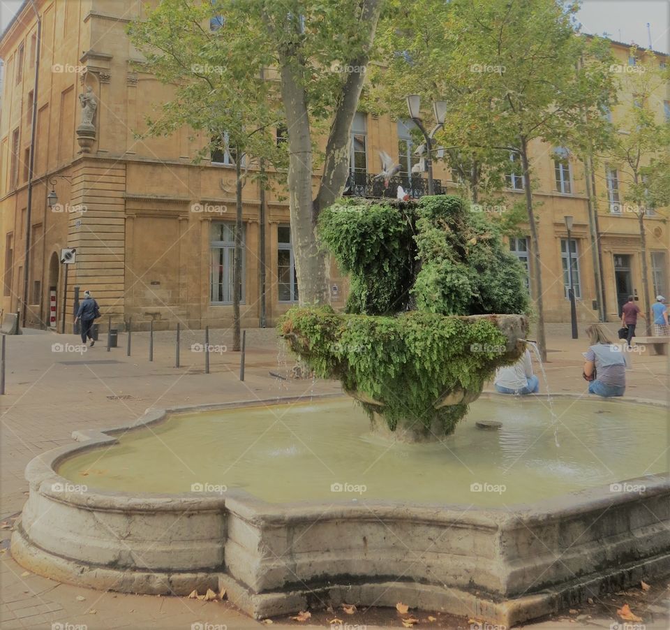 Fontaine moussue Aix en Provence 