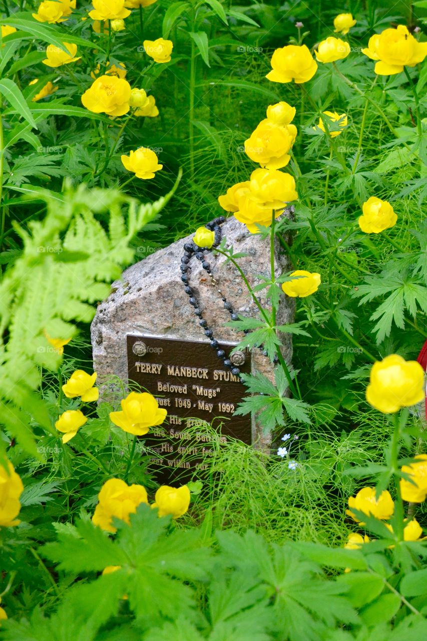 Flowers And Rosary In Cemetery 