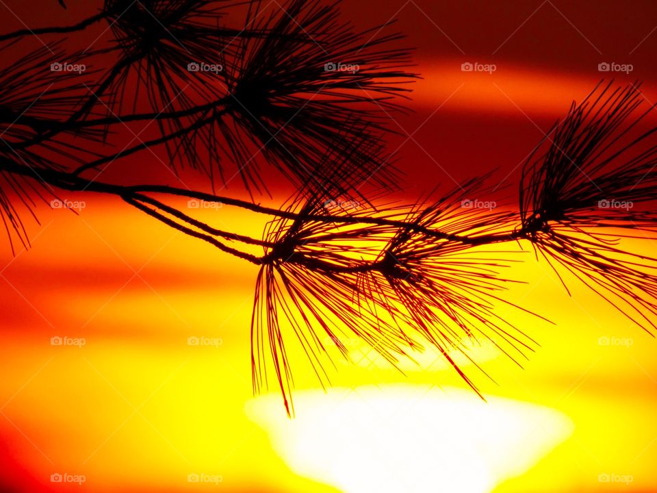 Beautiful sky and a pretty sunset