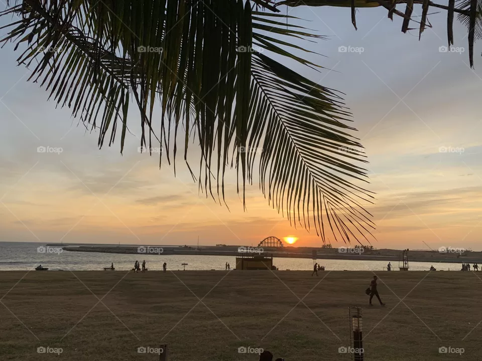 Sunset 
