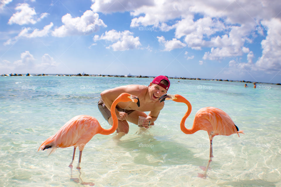 Guy on beach with flamingos