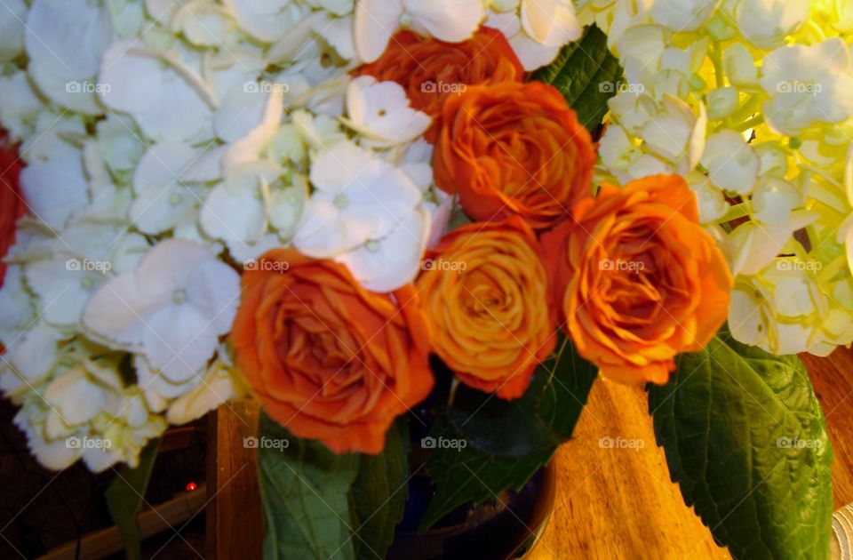 hydrangea and roses