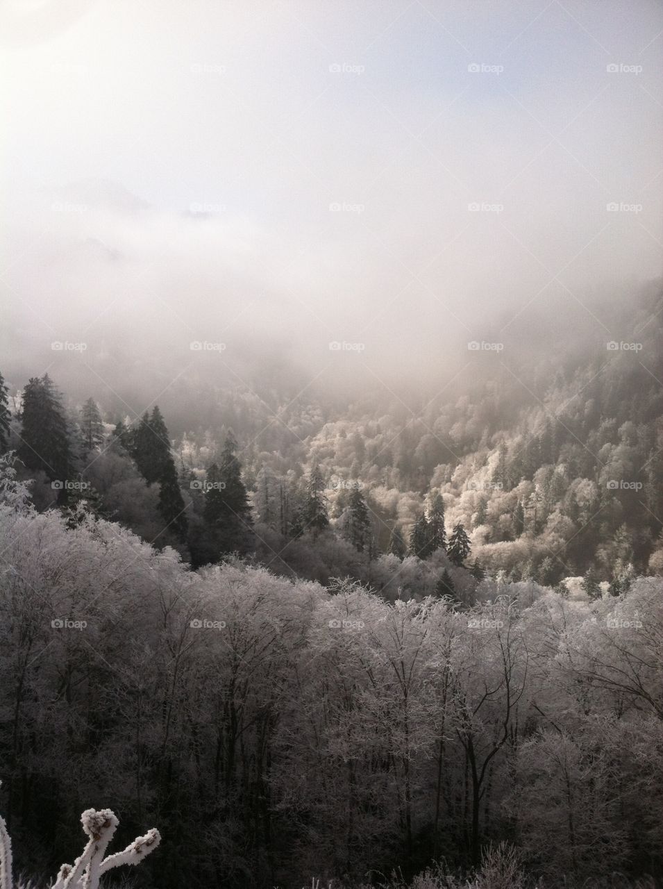 Smoky Mountain winter sunrise
