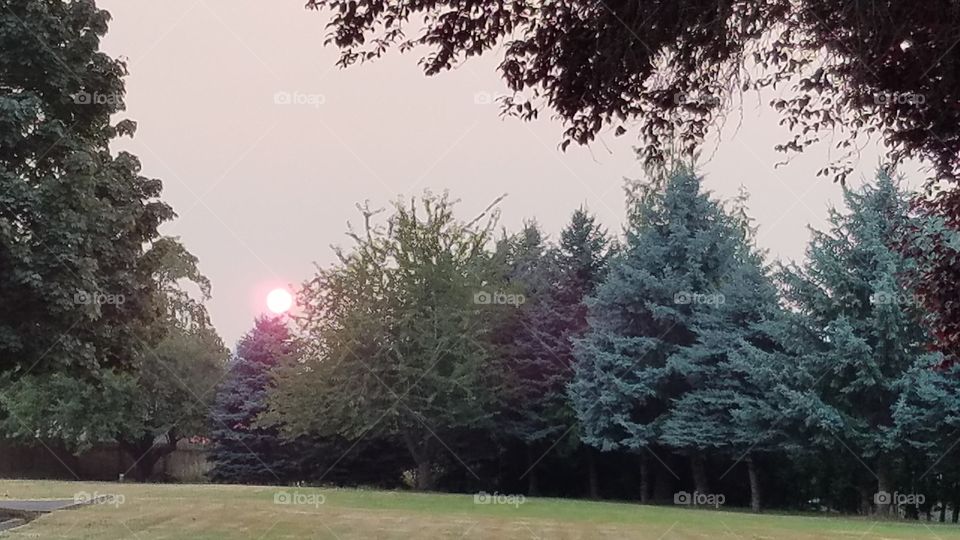 sunset in fire clouds