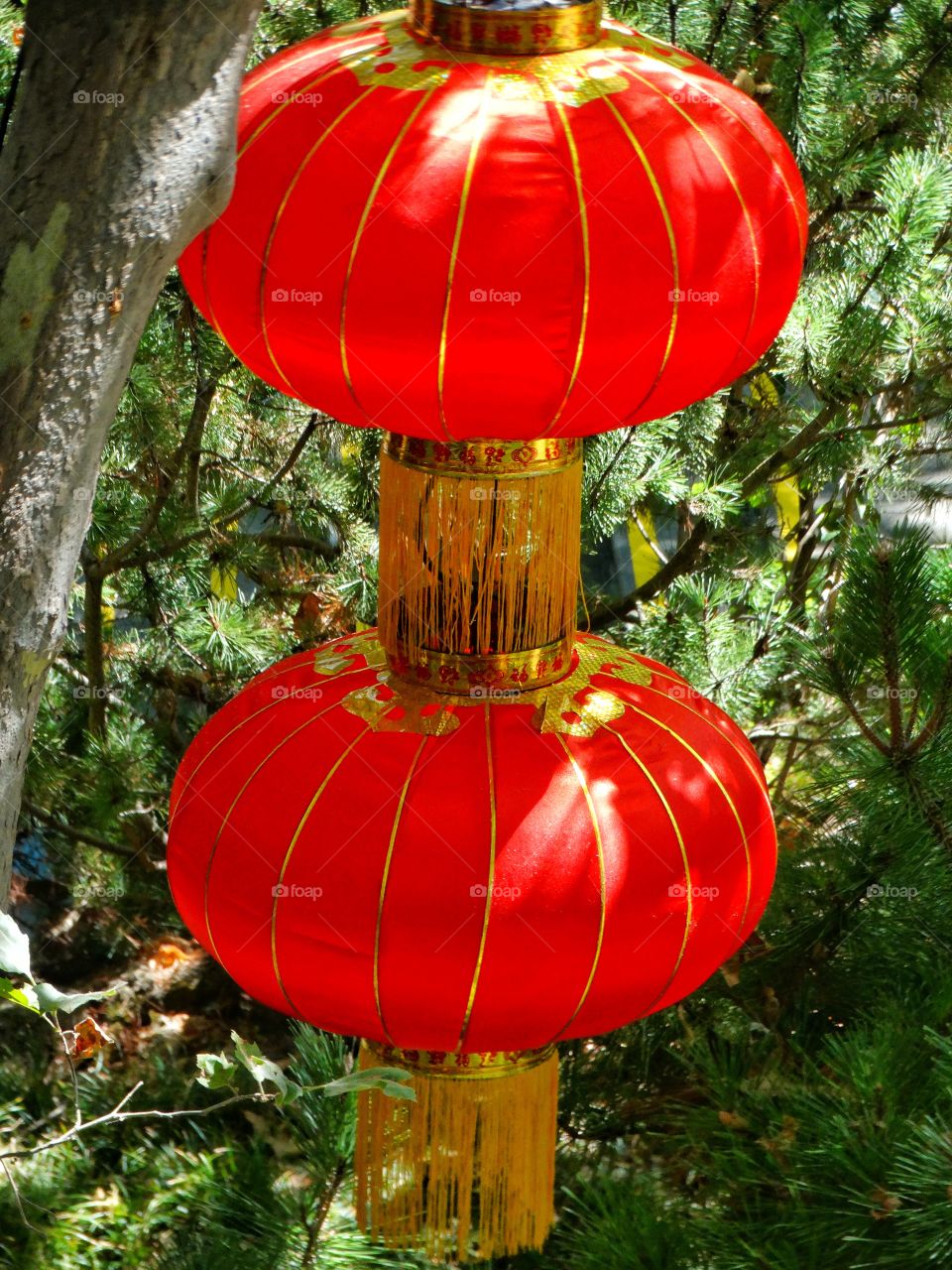 Red Chinese Lanterns
