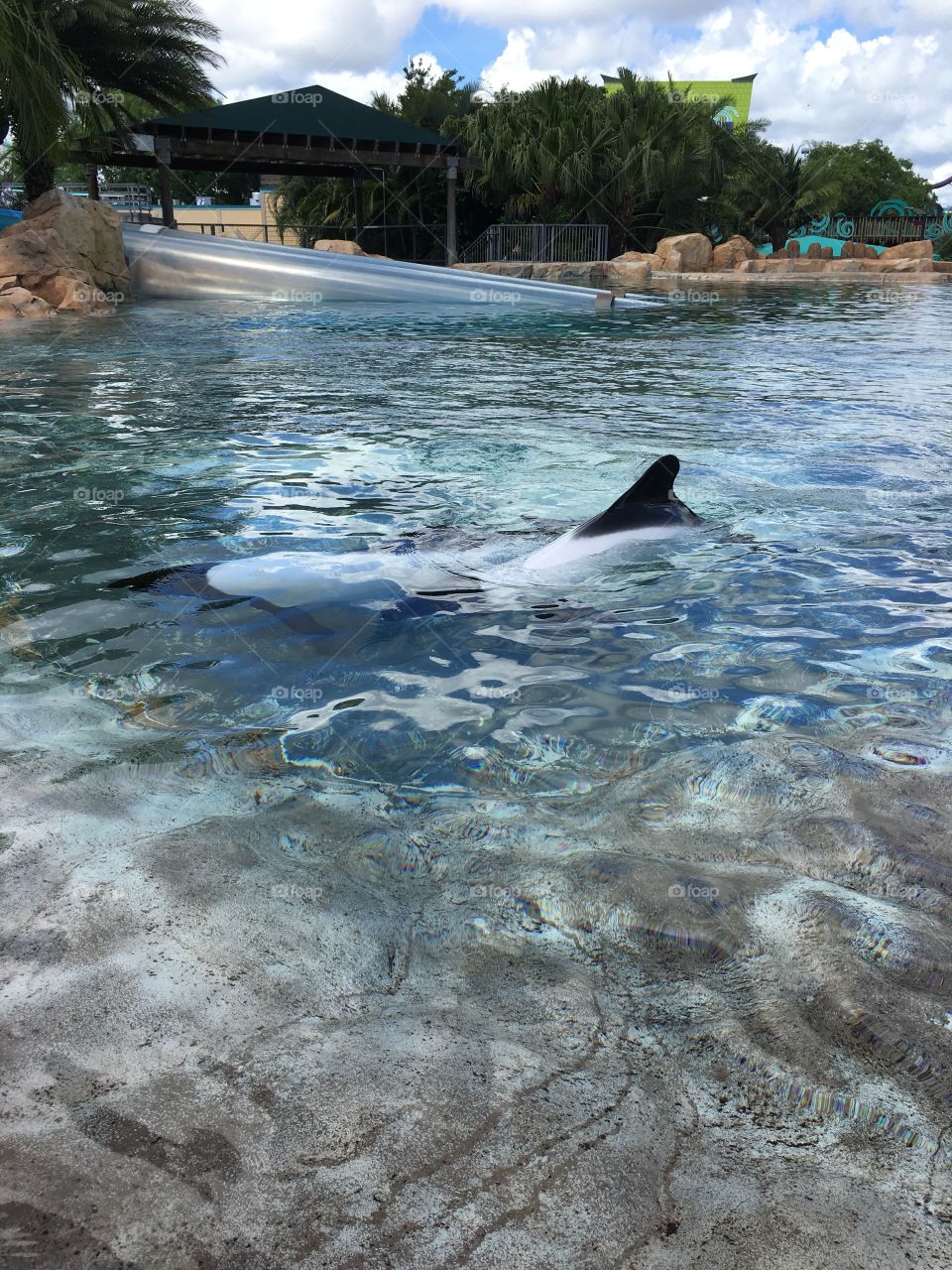 Click by Selsa.  A University of Central Florida student located in Orlando. Follow me @Selsa.clicks 