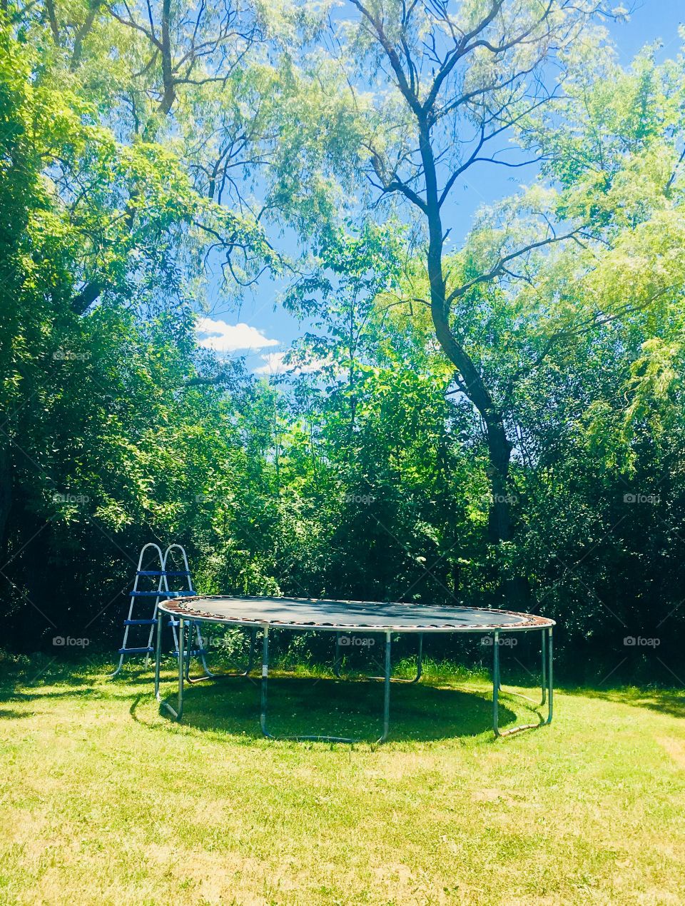 Trampoline 