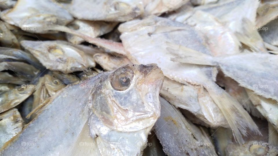 Salted fish that is ready to be cooked