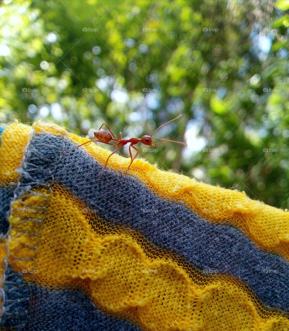 No matter how small you are..... 
be proud of your self, cus
No one can do what you can...!