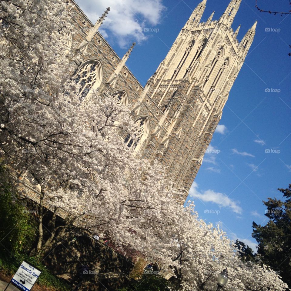 Spring Chapel