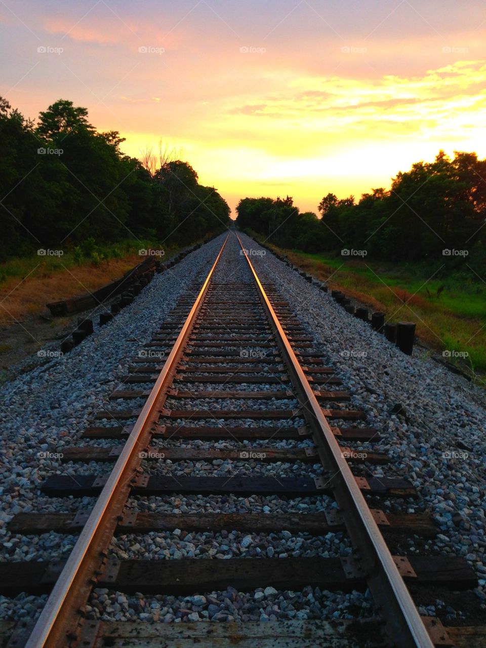 Railroading into the Sunset