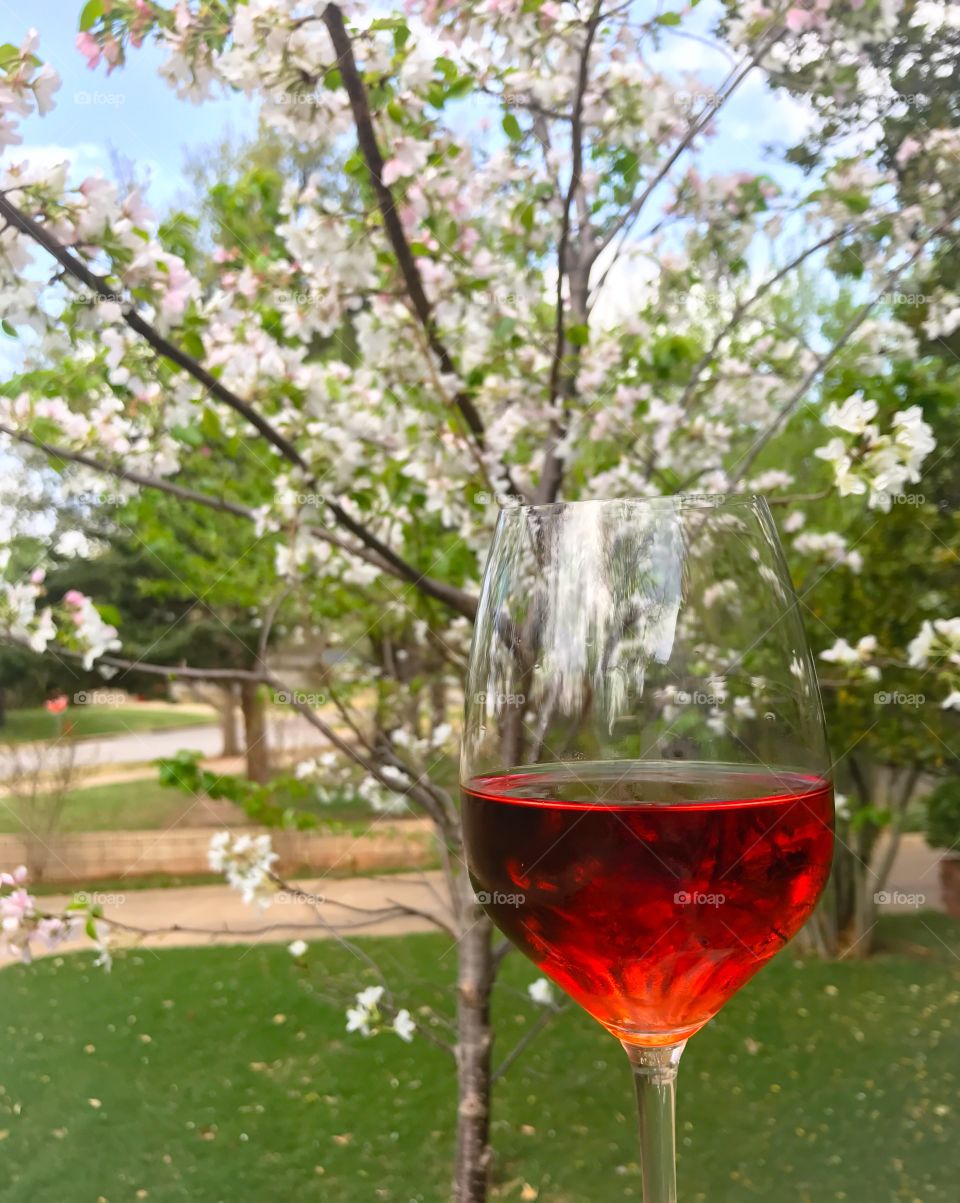 Cherry tree & rosé all day