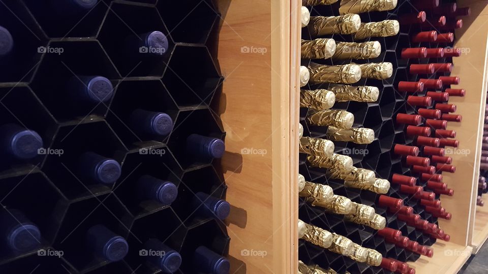 Wine Cellar