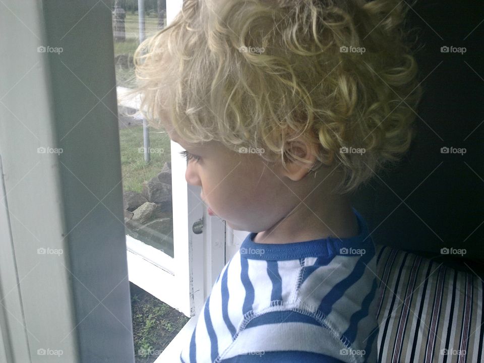 blond curly boy in the window
