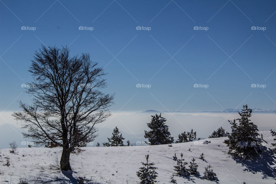 Winter landscape on the mountain.