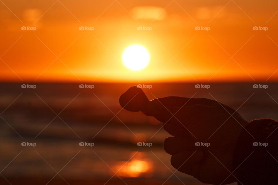 Sunset at a beach with a silhouette of a hand holding a seashell in front of the water.