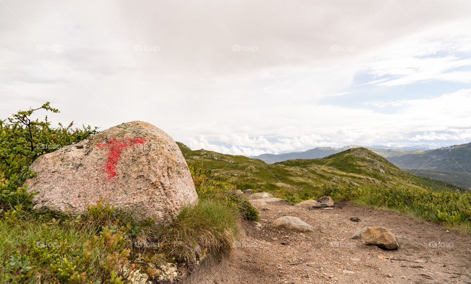 Hiking