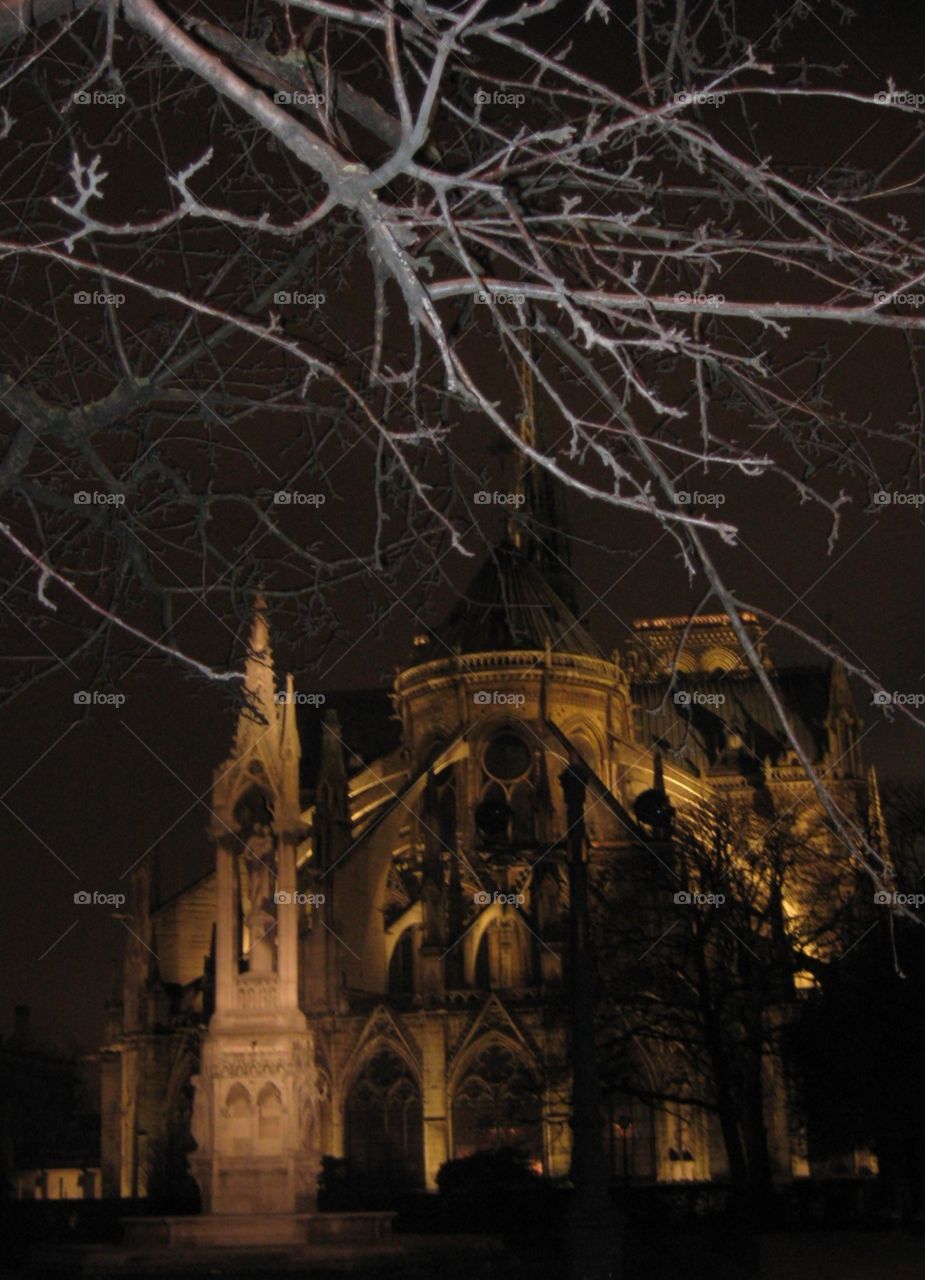 Notre dame by night