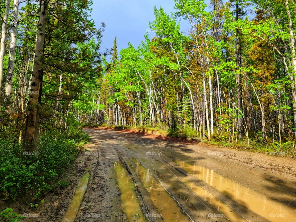 Mud puddles and sunshine