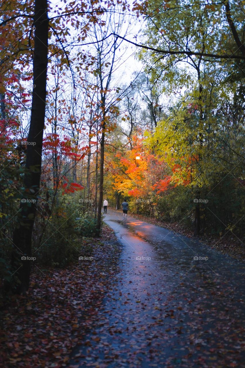 nature is beautiful especially during the fall and autumn season.