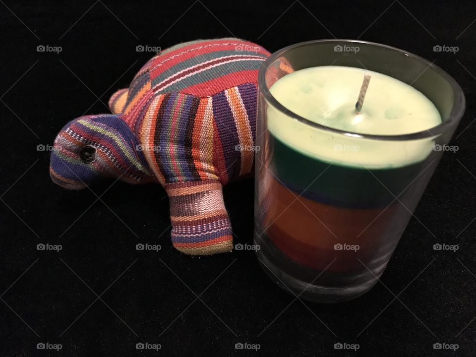 Turtle beside a candle