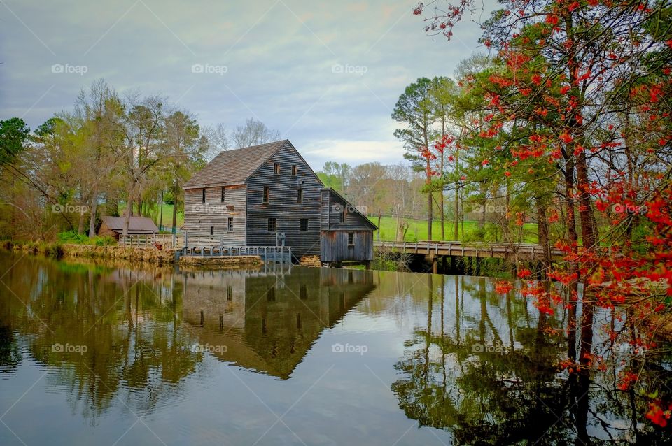 Foap, Art of Composition. A colorful springtime scene of the old gristmill at Historic Yates Mill County Park in Raleigh North Carolina. 