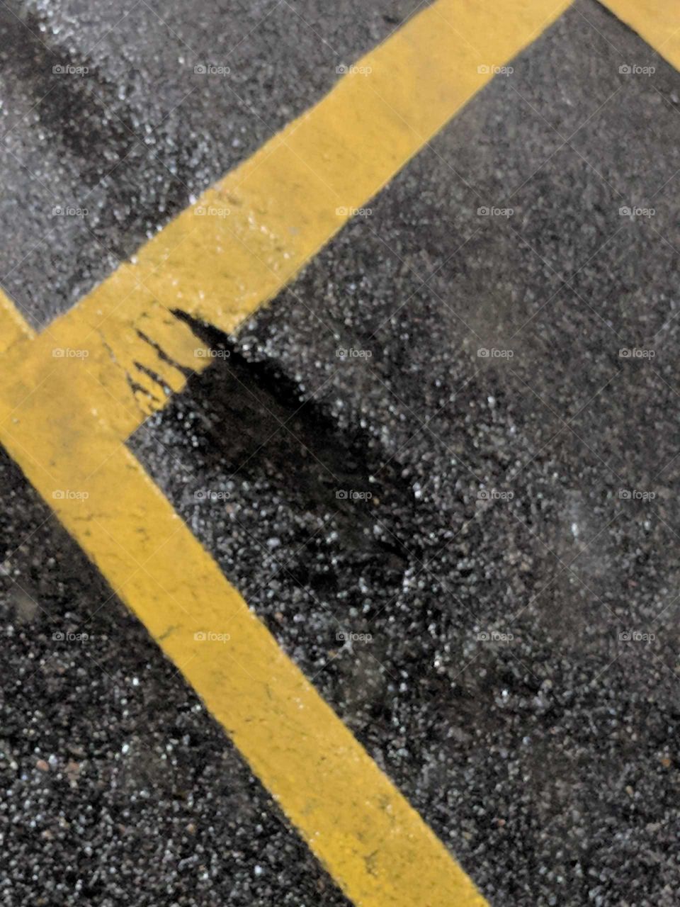Bigfoot or Sasquatch footprint caught in a parking lot concrete substance.