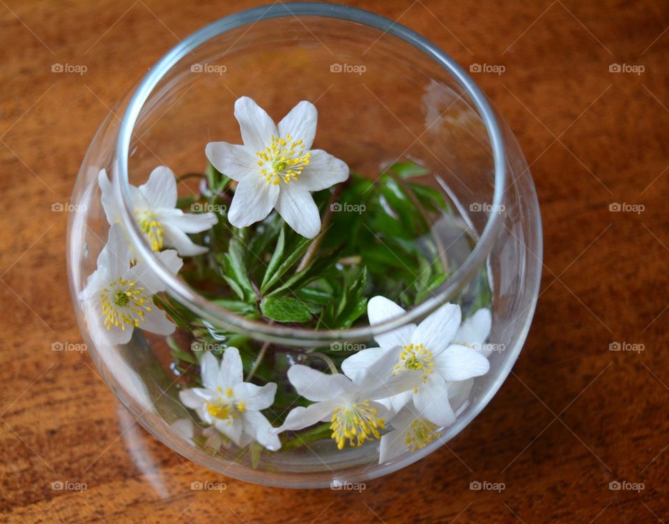 spring flowers in vase