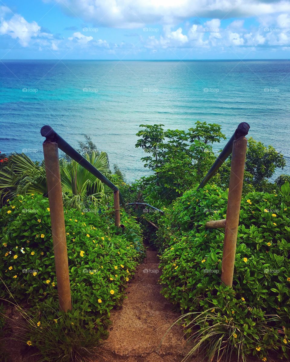 Pathway to Paradise in Kauai, Hawaii 