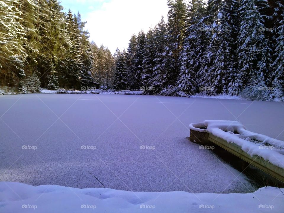 Frozen pond