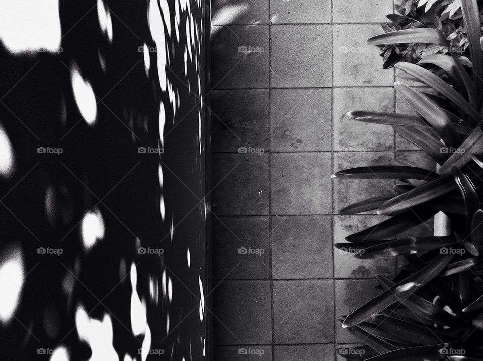 street view from high look down by alekime