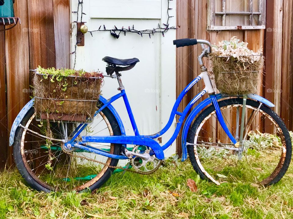 Bike garden