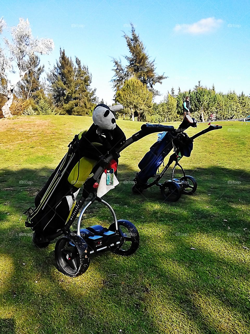 Golf buggies